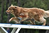 Canis donderdag