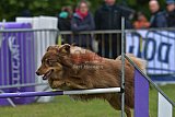 Canis donderdag