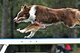 Canis donderdag