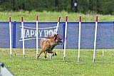 Canis donderdag