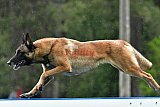 Canis donderdag