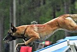 Canis donderdag