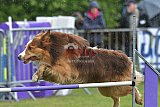 Canis donderdag