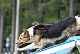 Canis donderdag