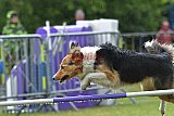 Canis donderdag