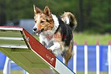 Canis donderdag