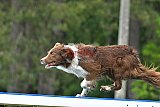 Canis donderdag