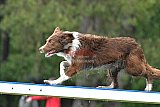 Canis donderdag