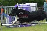 Canis donderdag