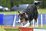 Canis donderdag