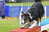 Canis donderdag
