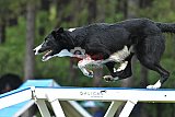 Canis donderdag