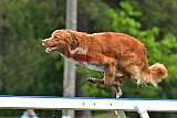Canis donderdag