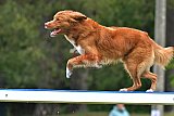 Canis donderdag