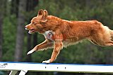 Canis donderdag
