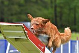 Canis donderdag