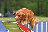 Canis donderdag