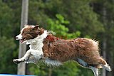 Canis donderdag