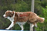 Canis donderdag