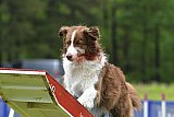 Canis donderdag