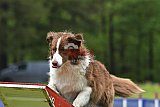 Canis donderdag