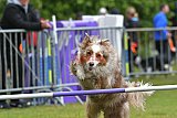 Canis donderdag