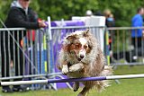 Canis donderdag