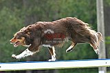 Canis donderdag