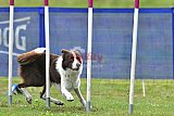 Canis donderdag