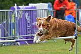 Canis donderdag