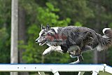 Canis donderdag