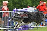 Canis donderdag