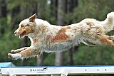 Canis donderdag