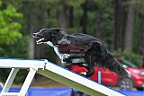 Canis donderdag