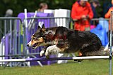Canis donderdag