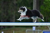 Canis donderdag
