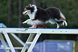 Canis donderdag