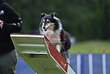 Canis donderdag