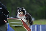 Canis donderdag