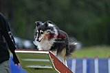 Canis donderdag