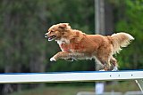 Canis donderdag