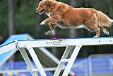 Canis donderdag