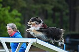 Canis donderdag