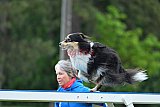Canis donderdag