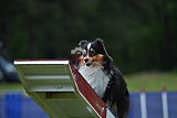 Canis donderdag