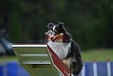 Canis donderdag