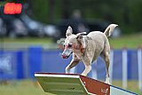 Canis donderdag