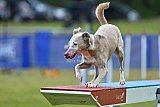 Canis donderdag