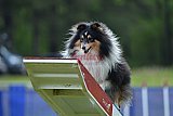 Canis donderdag