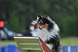 Canis donderdag